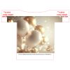 100-LARGE ADULT Thumbnail