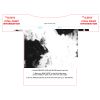 100-LARGE ADULT Thumbnail
