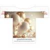 100-2XLARGE ADULT Thumbnail